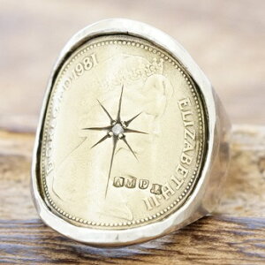 amp japan(AvWp)RCO Y_Ch GUxX RC^J wփBe[W AeB[NnhCh ANZT[15AO-250svyMtgzyz