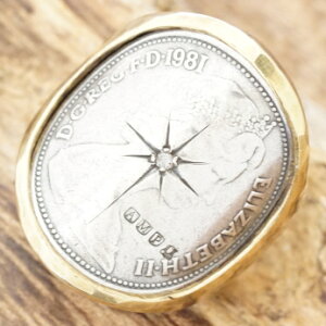 amp japan(AvWp)RCO Y_Ch GUxX RC^J wփBe[W AeB[N nhCh15AO-251brsyMtgzyz