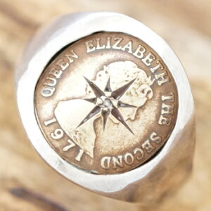 amp japan(AvWp)GUxX RC OY fB[Xw @ Ɩ ^J _ChBe[W AeB[NnhCh WG[16AO-245yMtgzyz