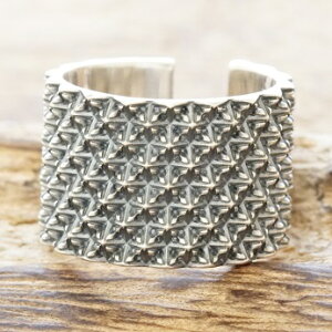 yG SENSE fځzGYRNV(M's collection)X^bY O Vo[925 Y fB[XNX łO  t[TCY t[^CvVo[ANZT[AJW 