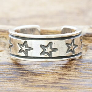 yʒzNORTH WORKS(m[X[NX)X^[ O Y fB[X yAVo[ ł w  X^vt[TCY t[^CvCfBAWG[ iozNG-100yMtg