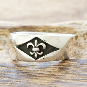  O Y fB[XVo[ 925 w  Vv v[BStA [ S[bp SVbN pVo[ANZT[ nhCh WG[TJK S4727yMtg