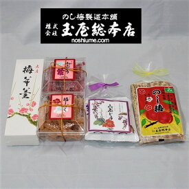 楽天市場 山形 のし梅の通販