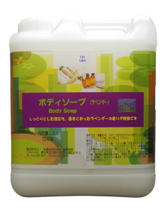 Ɩp{fB\[v x_[̍ 5L@΂@@GXe@N[[V