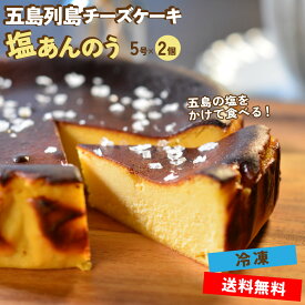 【送料無料】五島列島 チーズケーキ 「 塩あんのう 」 5号 2個セット （ 冷凍 ） 虎屋