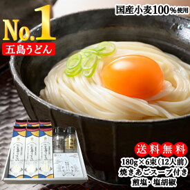 【送料無料】国産小麦五島うどんバラエティセット (180g×6束) 焼きあご スープ6食、煎塩ボトル、塩胡椒ボトル