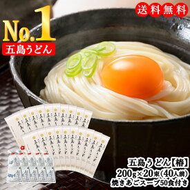 【送料無料】虎屋 の 五島うどん 椿 40人前 (200g×20束) 焼きあごスープ50食（7g×50袋）