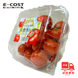 y RXgR z茧Y T_{E_Ƃ VRg}g ①