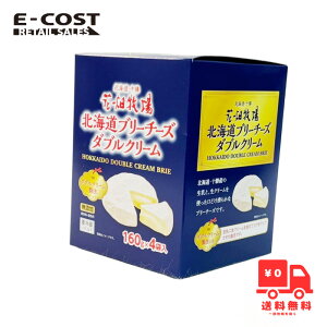 y RXgR zԔq kCu[`[Y_uN[ 160×4܁y①z