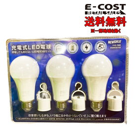【 コストコ 】充電式LED 3個セット