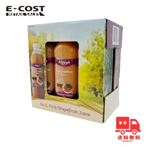 y RXgR zNippy's jbs[YsNO[vt[cW[X1L×6{y①ցz