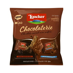 �y �R�X�g�R �z���A�J�[ �V���R���e���\�A�\�[�g 570g