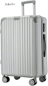 スーツケース キャリーケース キャリーバッグ ファスナー式 Lサイズ 60L/託送必要/6-8泊 軽量 小型 大型 耐衝撃 静音 ダブルキャスター 360度回転 短期旅行 国内旅行 海外旅行 ビジネス