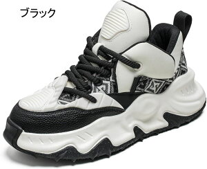 Xj[J[ Y X|[cV[Y ^C JWAV[Y jO ԕ ؂ւ gbLO y  _ 芴 ʋΒʊw   ʋC h tC ČC HC ~