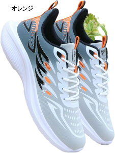 Xj[J[ Y fB[X ^C EH[LOV[Y jOV[Y JWAXj[J[ X|[cV[Y ʋC ɂ ^C ~ y 炩 ʊw ʋ [h