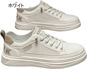 Xj[J[ XP{[V[Y Y   JWAV[Y bV  ʋC X|[cV[Y jOV[Y EH[LOV[Y ^C Ȃ y g[j