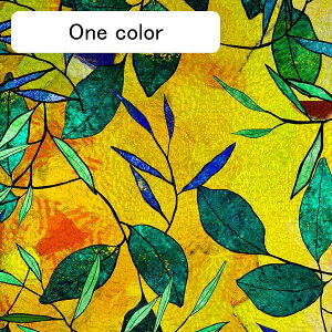 tϕ EBhEtB ߂V[g \Ă͂ 悯 ΍ KXp CeA  uvJbg tB Ȃ fM V KXV[ Őڒ C 