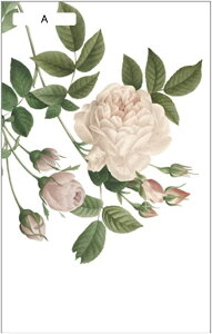 KXtB KXV[g ԕ  CeA ߂V[g O猩Ȃ p KXV[g KXɓ\V[g œ\ fM Ռ O΍ xbh[ 