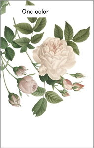 KXtB KXV[g ԕ  CeA ߂V[g O猩Ȃ p KXV[g KXɓ\V[g œ\ fM Ռ O΍ xbh[ 