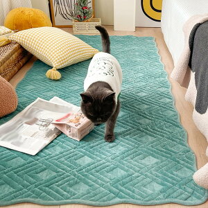 �唻 �􂦂郉�O �v���C�}�b�g �x�b�h�T�C�h���O �I�V���� �ې� ���n �唻 �R���p�N�g ��� �J�[�y�b�g 90*180cm �h�� �_�炩�� ���� �G���悢 ���r���O���[�� �ƒ�p �V�z�j�� ���z