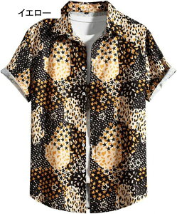 AnVc Y r[`Vc Vc a ԕ ʋC  y nC UVJbg Be[W ԕ Y  nCVc T[tB