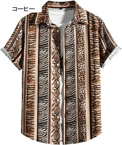 AnVc Y r[`Vc Vc a ԕ ʋC  y nC UVJbg Be[W ԕ Y  nCVc T[tB