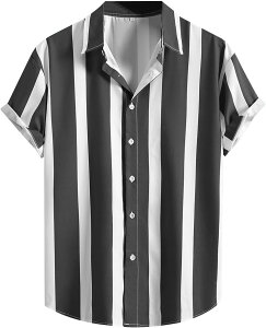 AnVc Y r[`Vc Vc a ԕ ʋC C nC  J UV΍ 傫TCY ĕ  nCVc T[tB