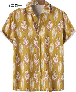 AnVc Y r[`Vc  ʋC  tVc Vc C nC  J UV΍ y vg   nCVc T[tB