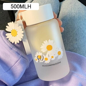  KX f[W[ NKX 킢 NA{g EH[^[{g 350ml 500ml ~j ԕ N} uVt obOt ̎q ⋋ Wt ^u[ 􂢂₷