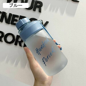 EH[^[{g  500ml 620ml }bgn   sN uVt  ̎q ?vX`bN  ⋋ ^ѕ֗ ϏՌ 􂢂₷ ItBXp ʋ