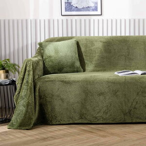 k }`Jo[ \t@[Jo[ 170*280cm  e[uJo[ e[u| G }`NX  _炩 CeA @\ \t@[̃Jo[ O e[uNX 傫