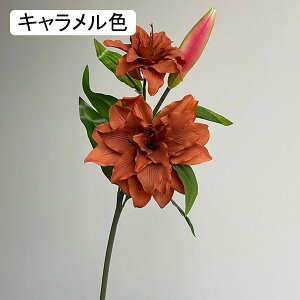   ͂Ȃ A[gt[ bh 1{  CeA tFCN v[g Mtg Ǝ a EFfBO  Be ] o^Cf[ Be p z[ 뉀 L