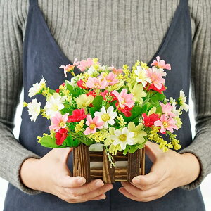  x_[ ԍ F10cm ϗtA {ɂ Mtg CeA v[g j  rO x_  뉀 Lb` iX u ͂Ȃ z̉  