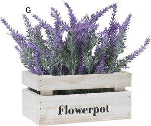  x_[ ԍ ϗtA {ɂ Mtg CeA v[g j  rO x_  뉀 Lb` iX u ͂Ȃ z̉  A