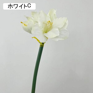   ͂Ȃ A[gt[ bh 1{  CeA tFCN v[g Mtg Ǝ a EFfBO  Be ] o^Cf[ Be p z[ 뉀 Lb