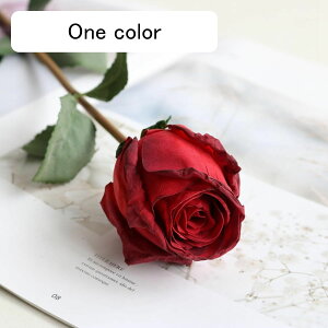 o  ͂Ȃ A[gt[ bh 1{ KN  CeA tFCN v[g Mtg Ǝ a EFfBO  Be ] o^Cf[ Be p z[ 