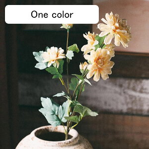 e  ͂Ȃ A[gt[ 1{  CeA tFCN v[g Mtg Ǝ a EFfBO  Be ] o^Cf[ Be p z[ 뉀 Lb` I