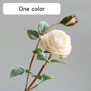 o  ͂Ȃ A[gt[ F 1{ KN  CeA tFCN v[g Mtg Ǝ a EFfBO  Be ] o^Cf[ Be p z[ 뉀