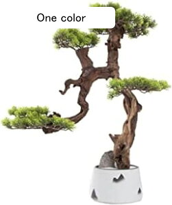 lHϗtA lHA26C`lH~̖͂؁AIȋU̐ȂAz[ItBX̃fXNgbṽrO[̑̂߂̏_炩A lH~