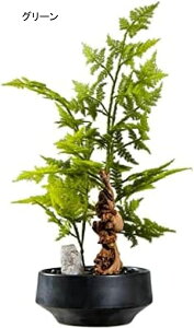 p̐lHϗtA lH~̓c[O[V~[V|~̓c[rO[ItBXfXNgbvtFCNc[Z~bNA U̐A