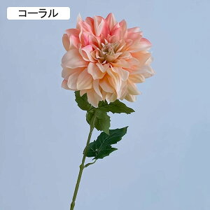 _A  ͂Ȃ A[gt[ bh 1{  CeA tFCN v[g Mtg Ǝ a EFfBO  Be ] o^Cf[ Be p z[ 뉀