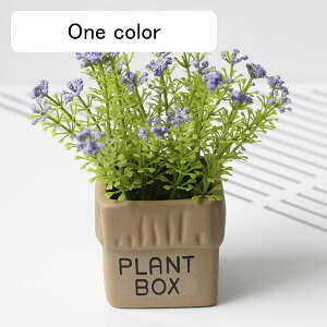  CeA ԕrt A ~   iX p[eB[ u  Mtg v[g  ԑ t[ ԃZbg ͂Ȃ Z~bNԕr u ~j 