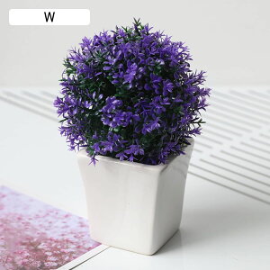  CeA ԕrt A ~   iX p[eB[ u  Mtg v[g  ԑ t[ ԃZbg ͂Ȃ Z~bNԕr u ~j 