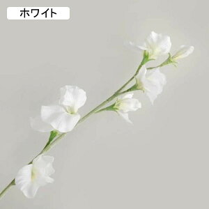  XC[gs[ 10{ tFCNt[ A k  CeA A[eBtBVt[ ԑ sN { X^CbV 蕨 v[g ̓  Ȃ