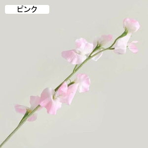  XC[gs[ 10{ tFCNt[ A k  CeA A[eBtBVt[ ԑ sN { X^CbV 蕨 v[g ̓  Ȃ