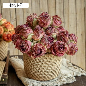  CeA A Mtg oXPbg KN ΂ o t[oXPbg җ ͂Ȃ Ԃt  gC v[g a ̓ ̓  j lHϗtA