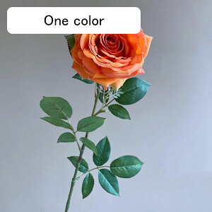 o  ͂Ȃ A[gt[ bh 1{ KN  CeA tFCN v[g Mtg Ǝ a EFfBO  Be ] o^Cf[ Be p z[ 