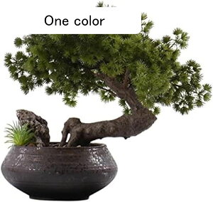 lHϗtA ̃EFJ}c̖ؖ~͂̑iȔȀ̖؂̑z[ItBXrO[eB[e[ulHA̐AAg16 ' lH~