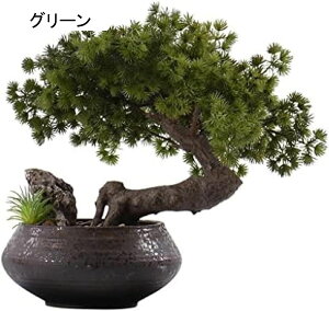 lHϗtA ̃EFJ}c̖ؖ~͂̑iȔȀ̖؂̑z[ItBXrO[eB[e[ulHA̐AAg16 ' lH~