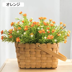  CeA ԕrt ͂Ȃ  p  v[g ԑ x_ Q  A[gt[ Be   X iX  p[eB[ o^Cf[ ̓ tF